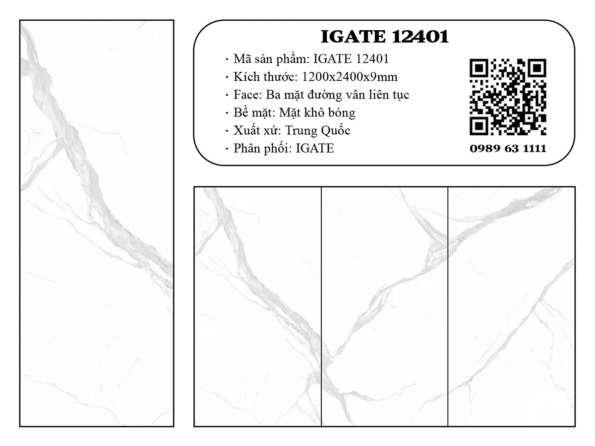 Igate 12401 Dd