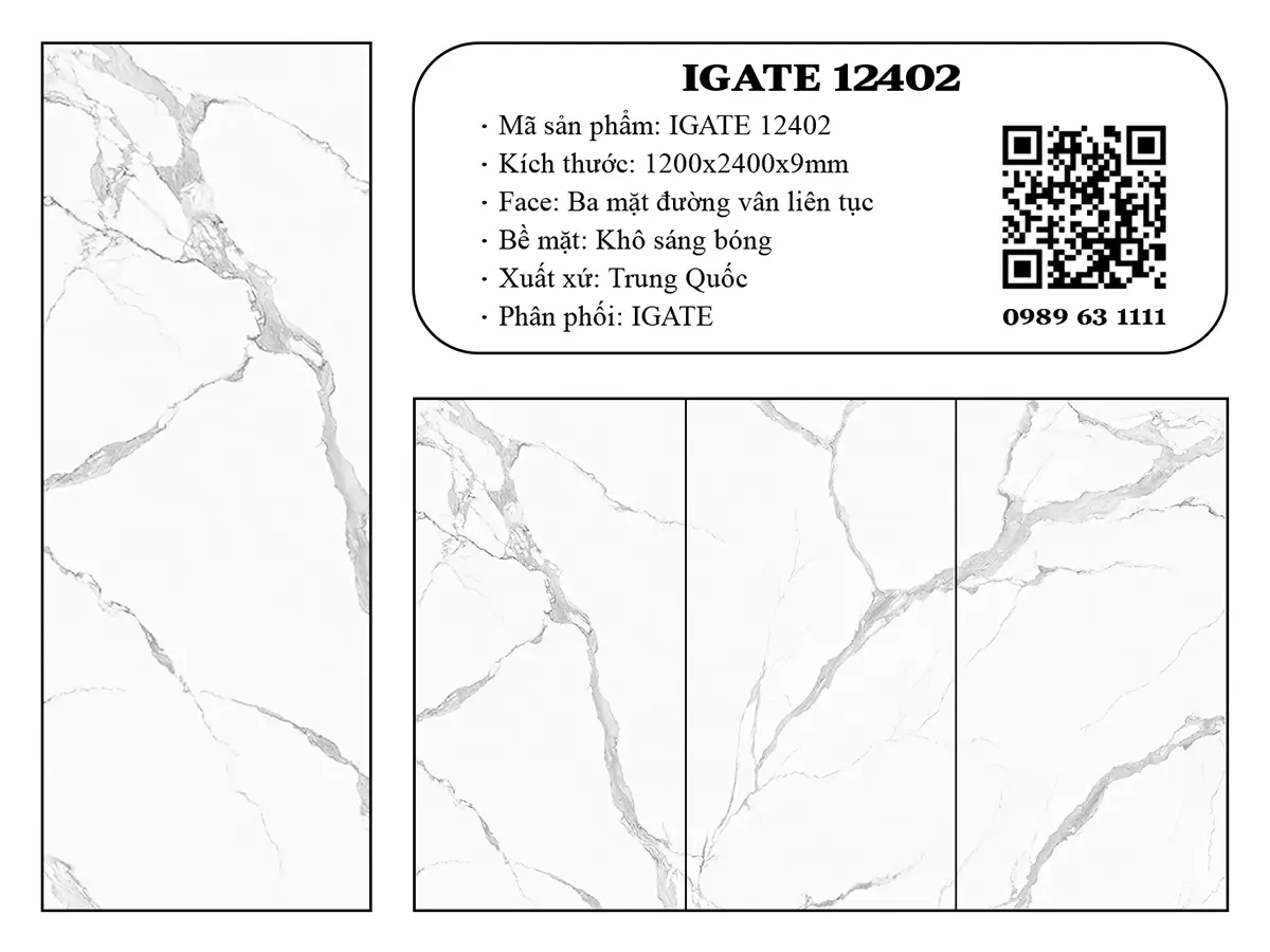 Igate 12402 Dd