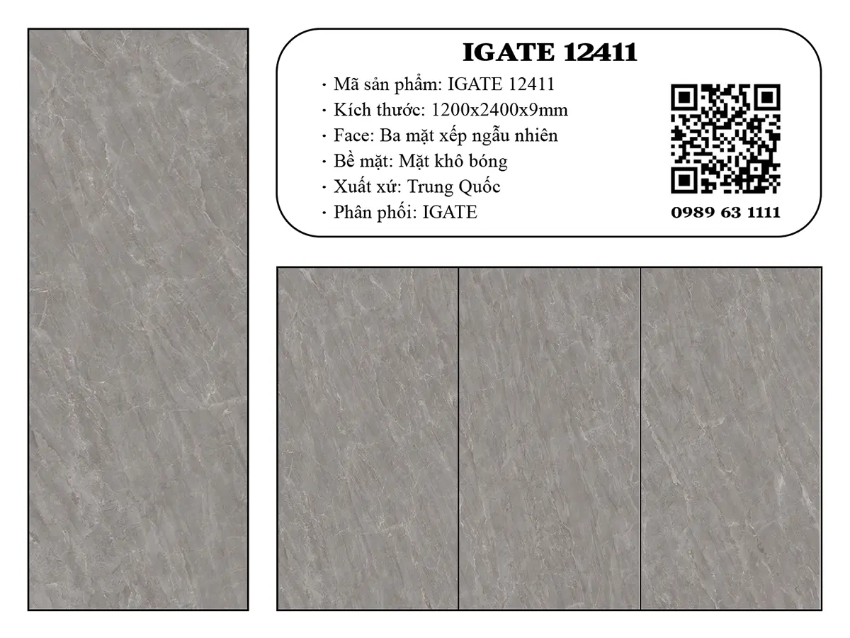 Igate 12411 Dd