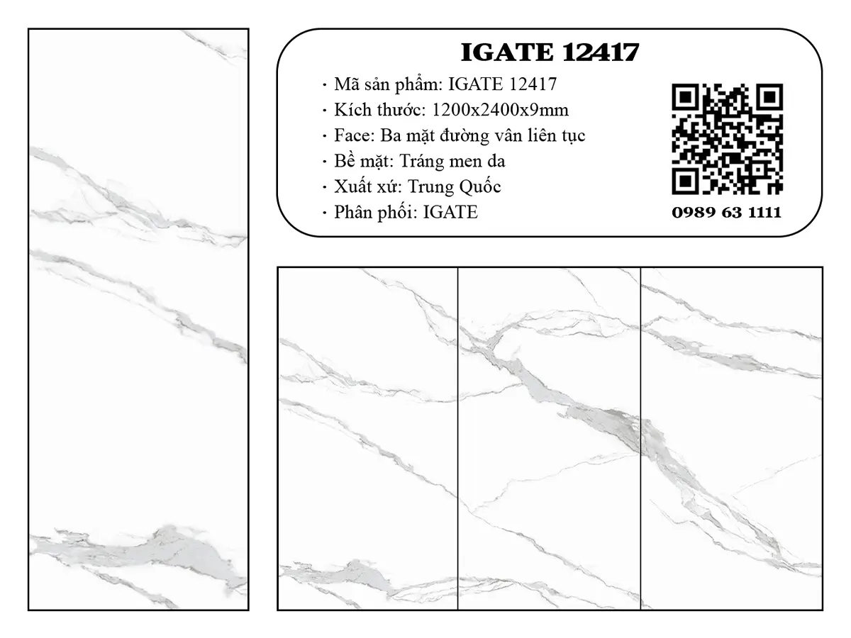 Igate 12417 Dd