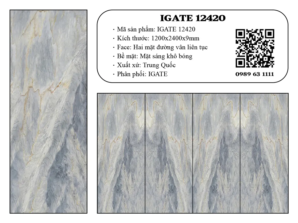 Igate 12420 Dd