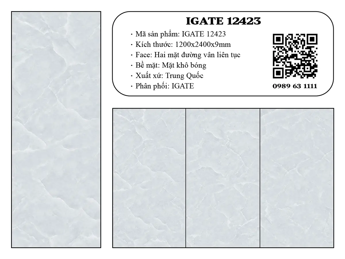 Igate 12423 Dd