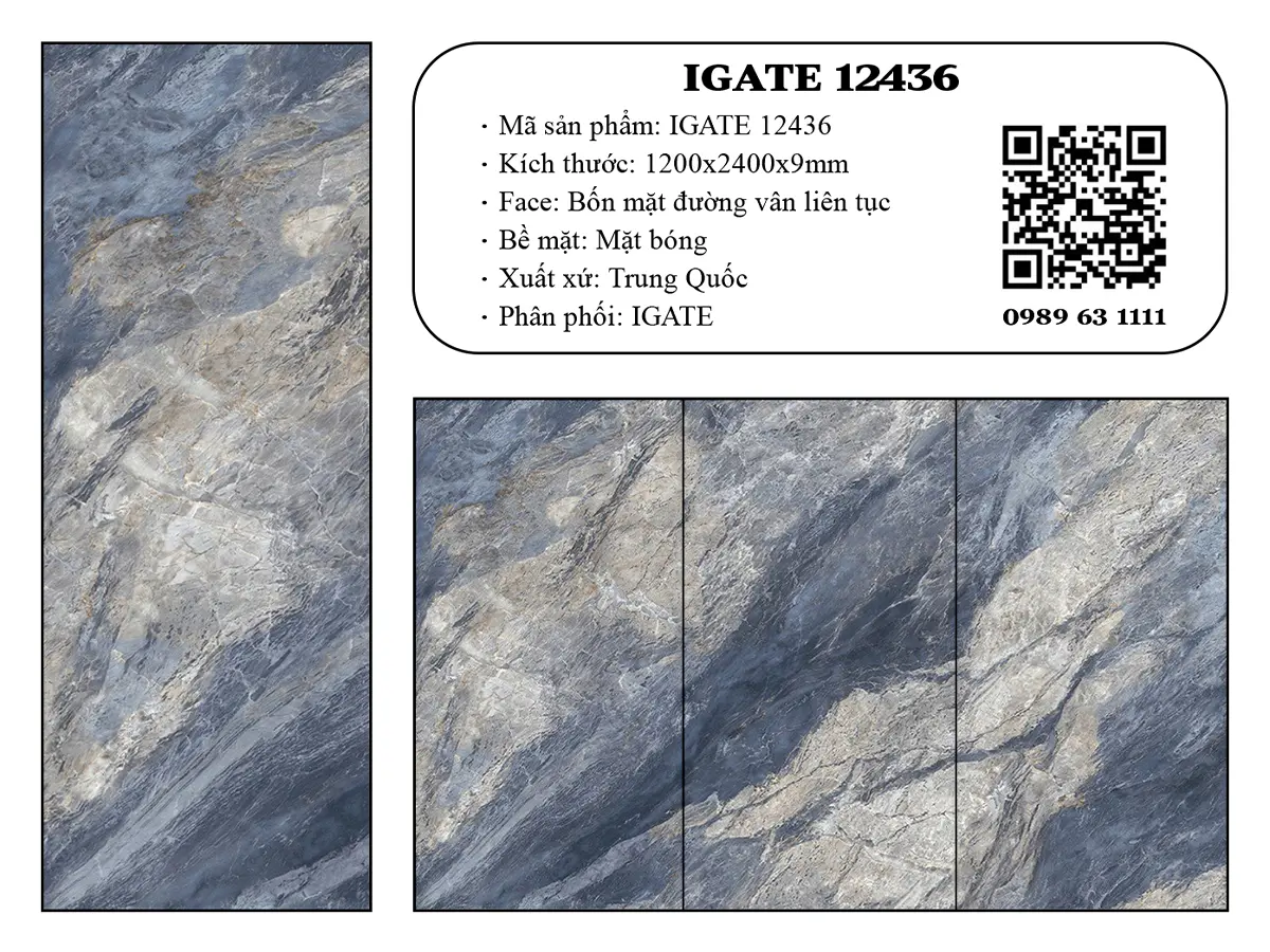 Igate 12436 Dd
