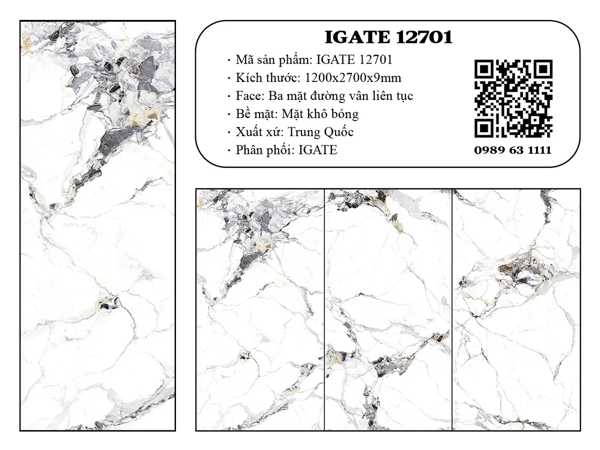 Igate 12701 Dd