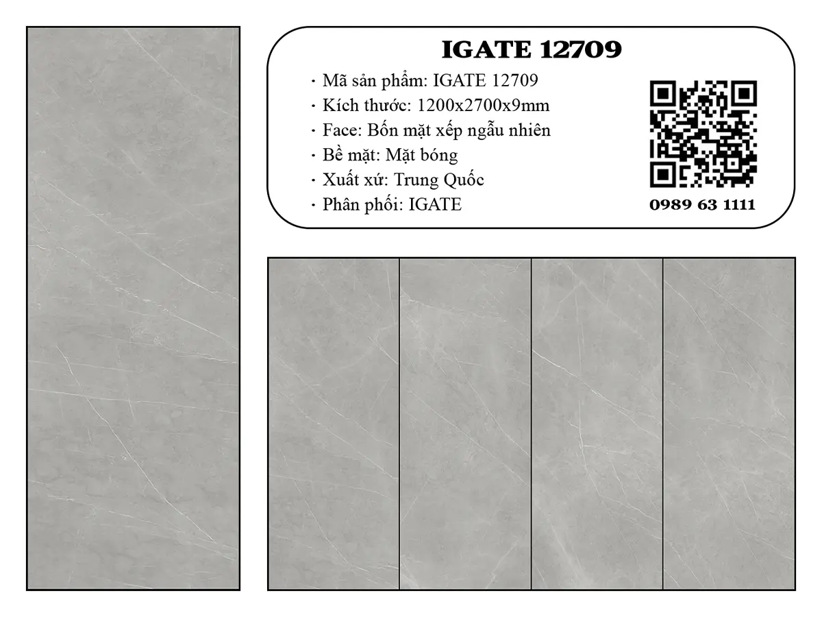 Igate 12709 Dd