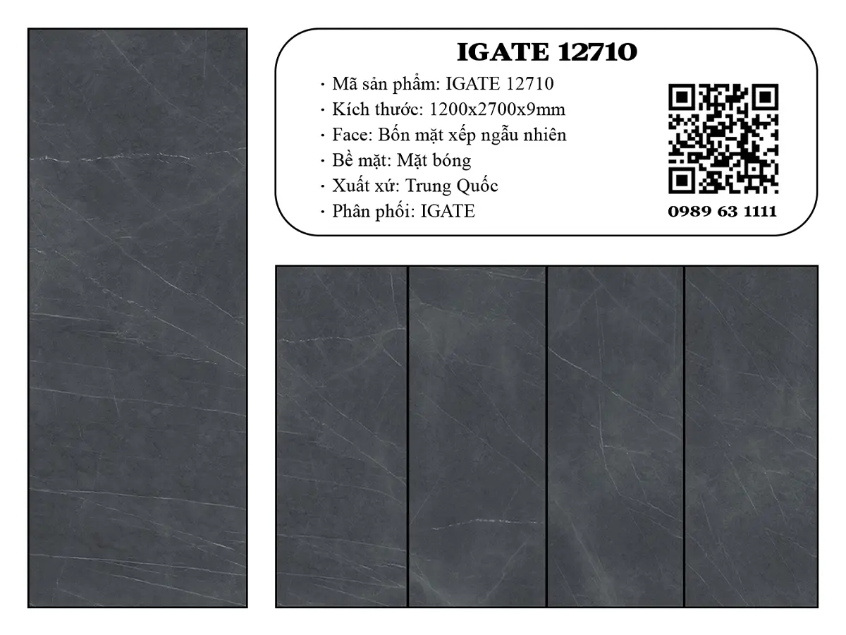 Igate 12710 Dd