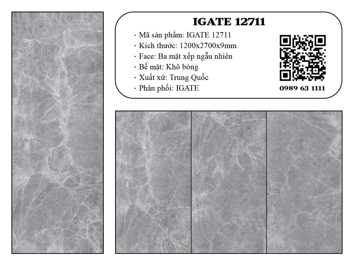 Igate 12711 Dd