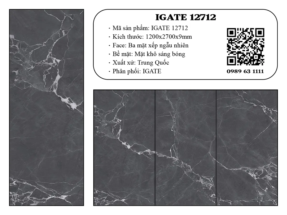 Igate 12712 Dd