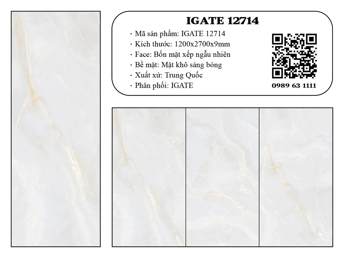 Igate 12714 Dd