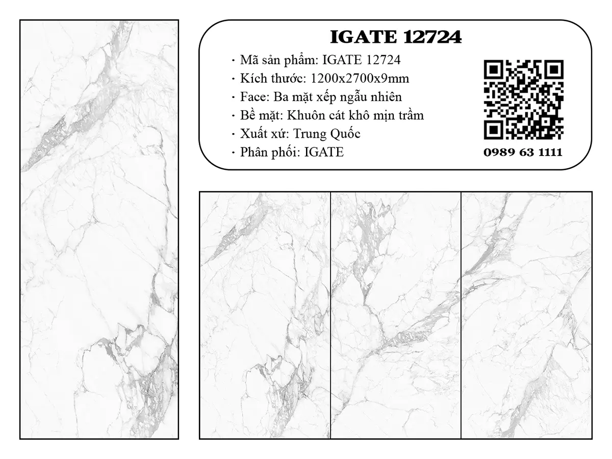 Igate 12724 Dd