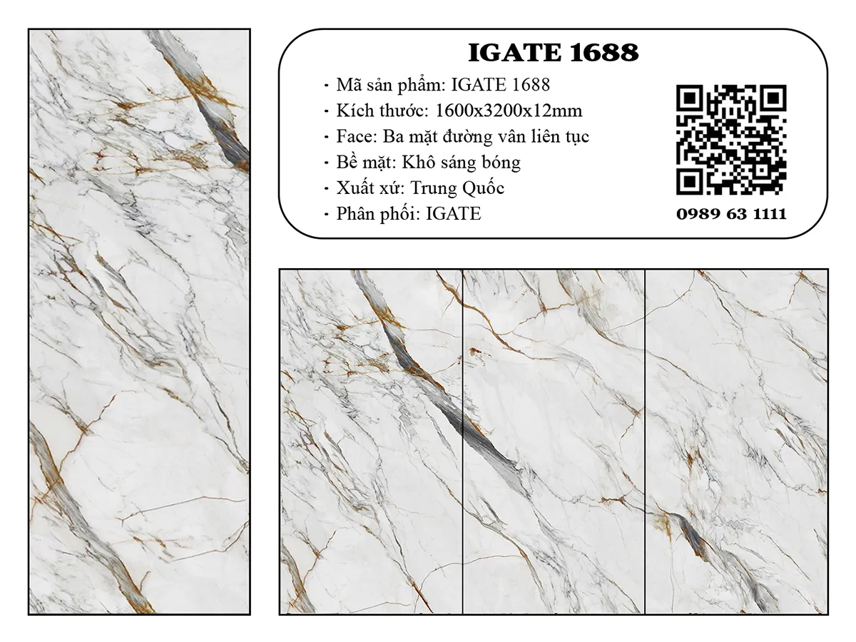 Igate 1688 Dd