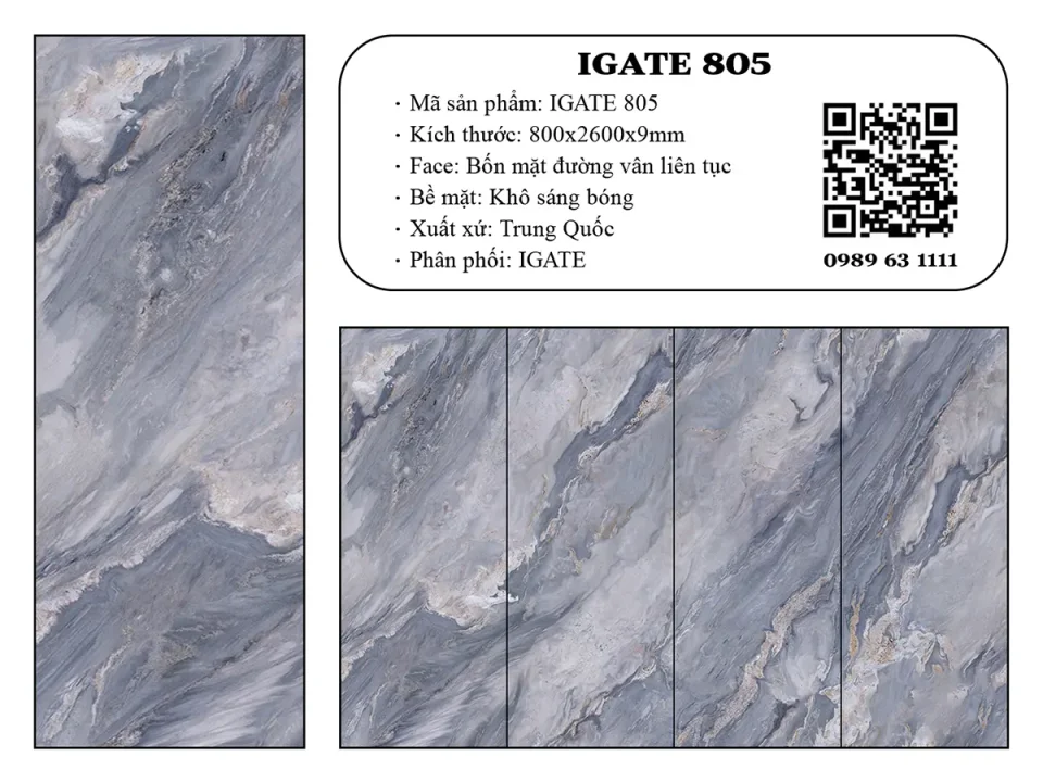 Igate 805 Dd