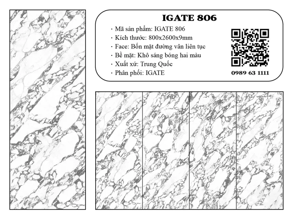 Igate 806 Dd Igate 806 Dd