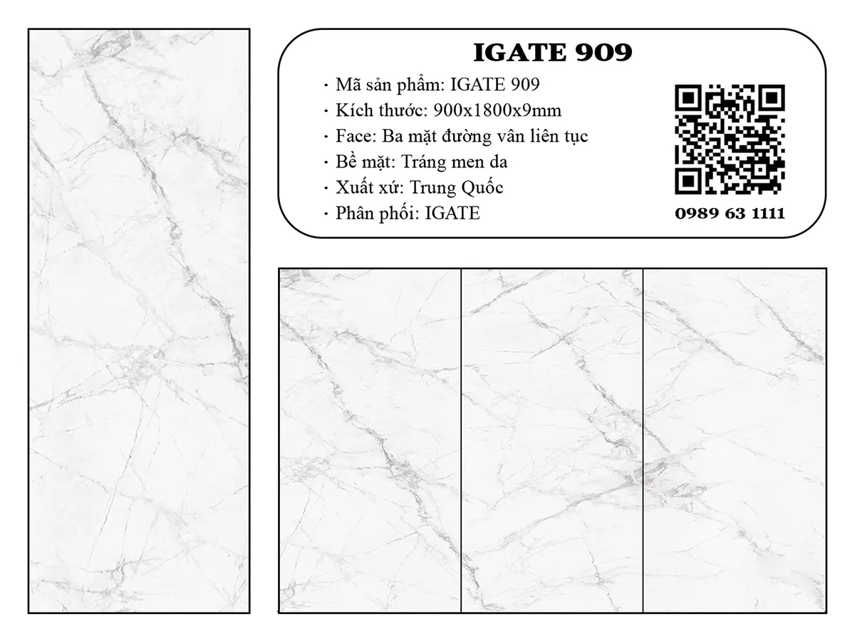 Igate 909 Dd