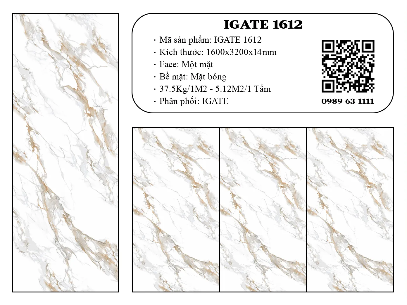 Igate 1612 Dd