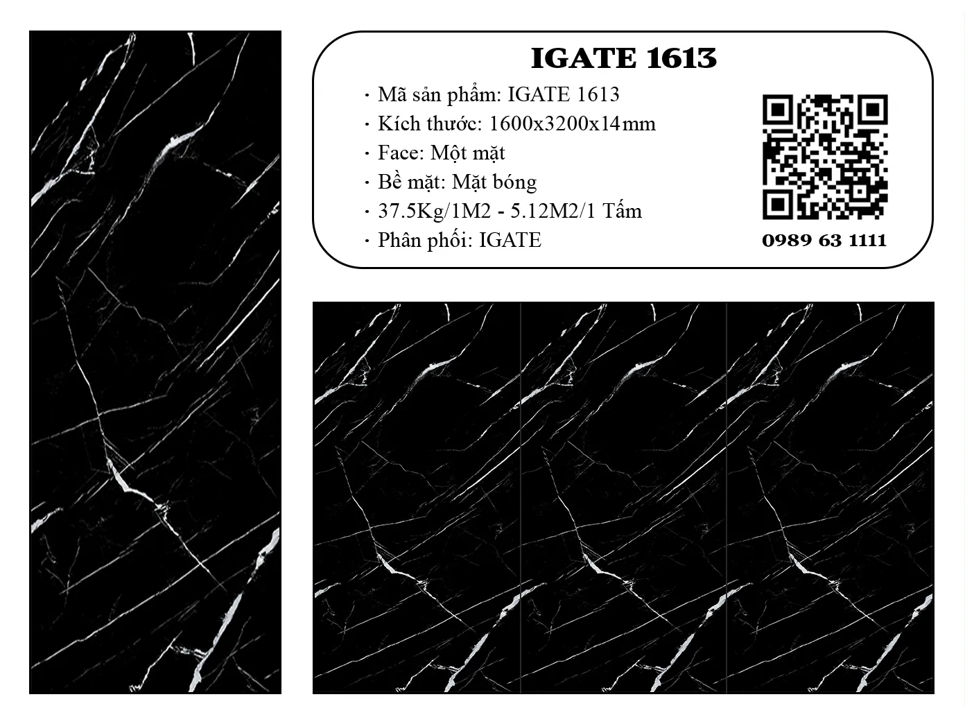 Igate 1613 Dd