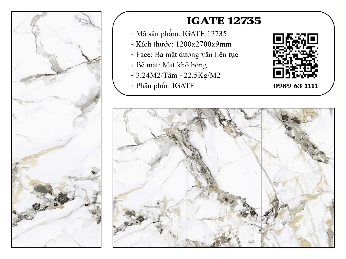 Igate 12735 Dd