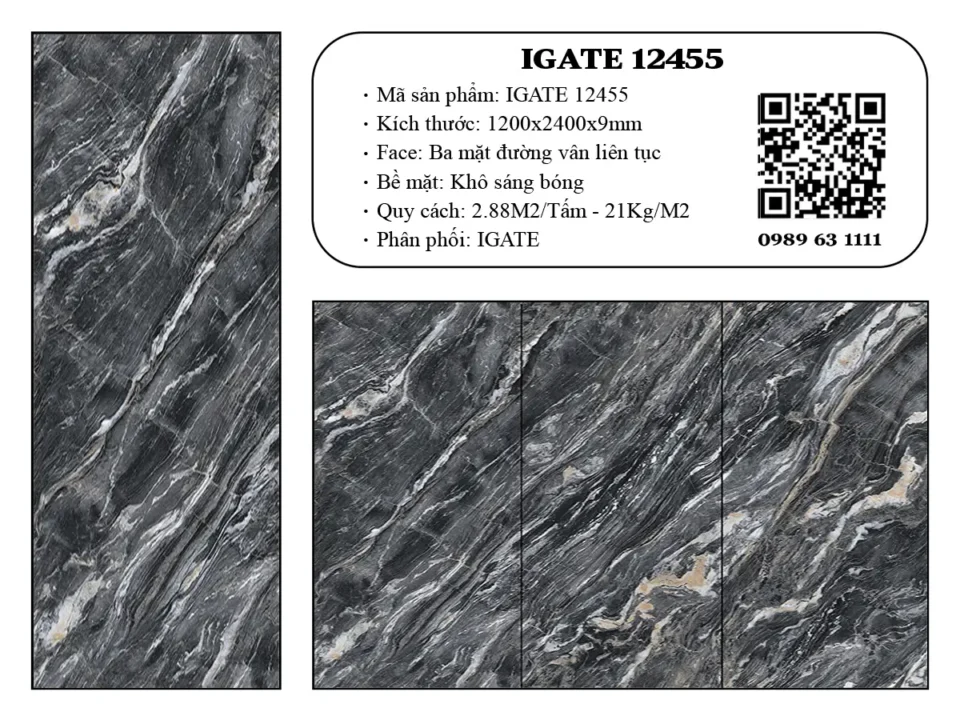 Igate 12455 Igate 12455