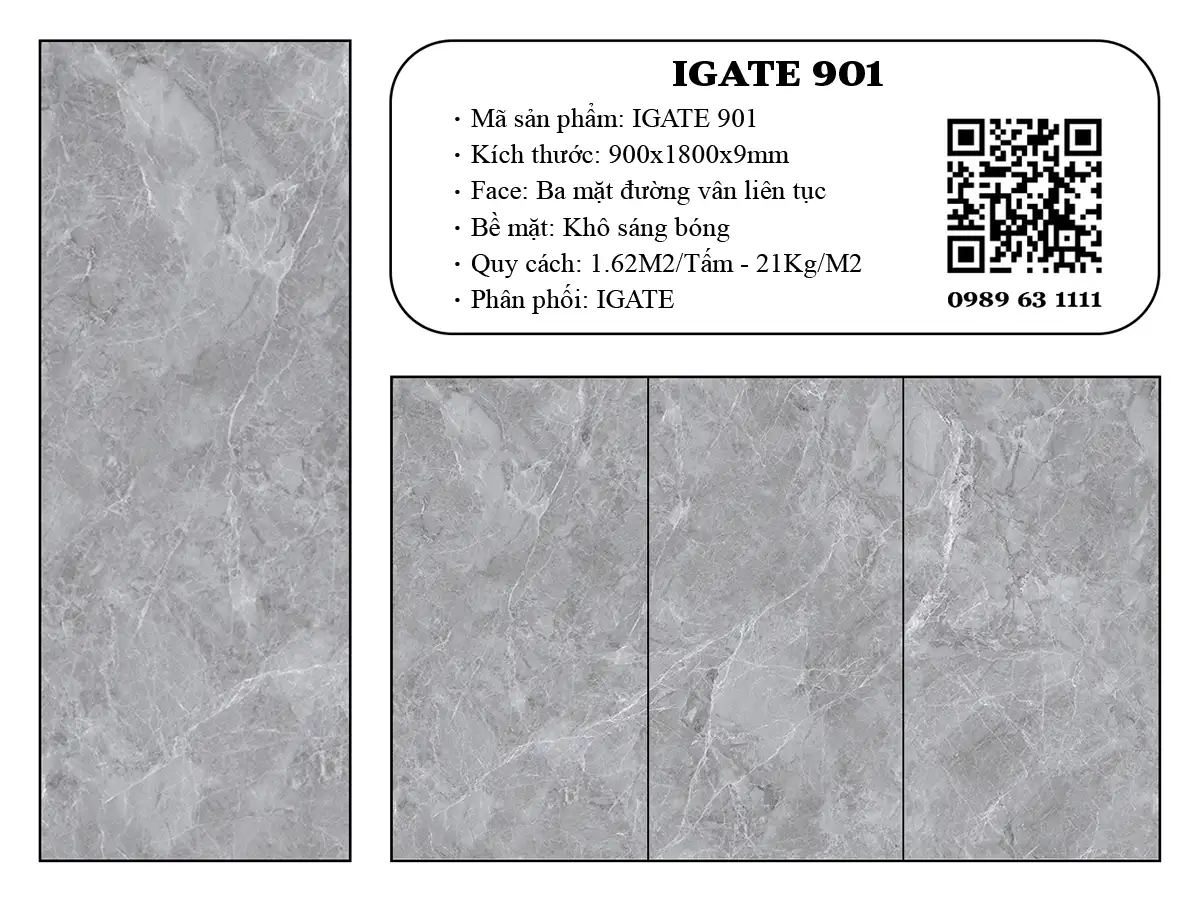 Igate 901